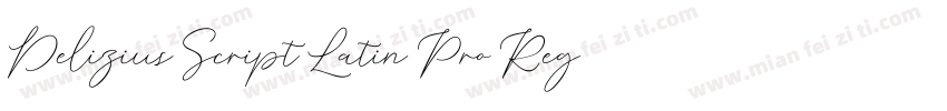 Delizius Script Latin Pro Reg字体转换